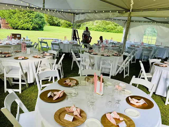 Furniture Rentals: Meadowvale Party Rentals 1