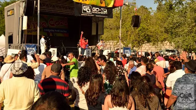 Live Music & Bands: Memory Lane Live Entertainment 21