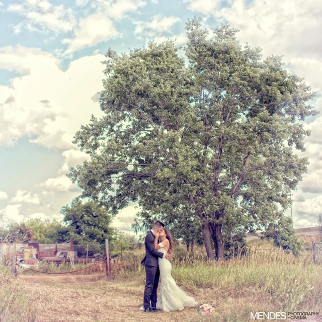 Mendes Photography, Toronto