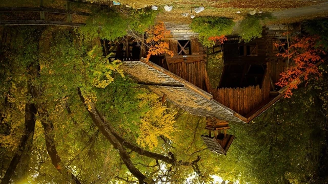 Wineries: Merginutset 4