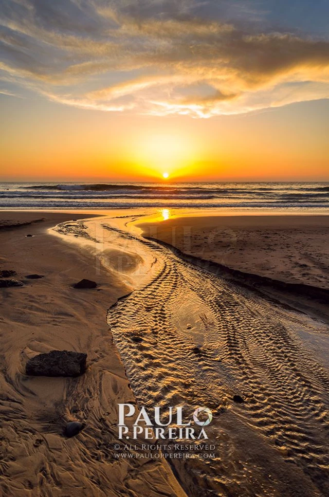 Wineries: Merginutset 3