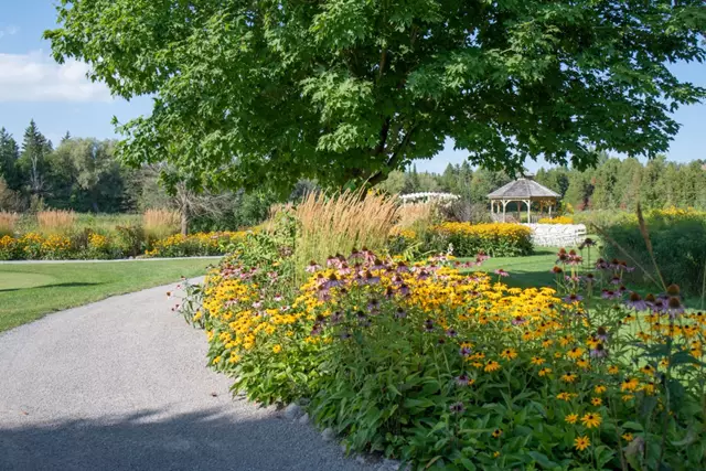 Golf & Country Clubs: Mill Run Golf Club 16