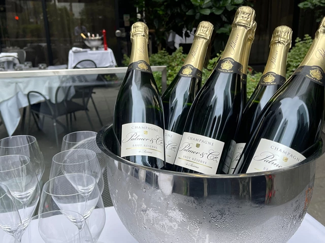 Restaurants: Modus Ristorante 15
