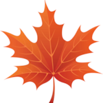 MyTown Maple Syrup