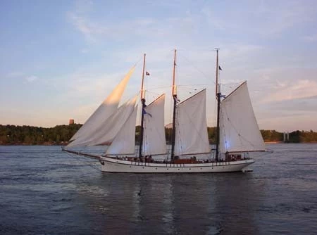 Empire Sandy