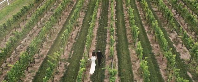 Norris Films, Toronto