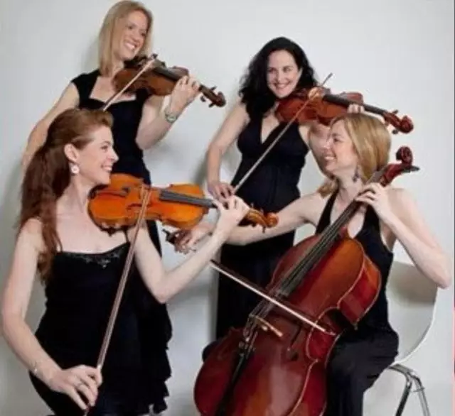 Live Music & Bands: Nova Sounds Entertainment 24