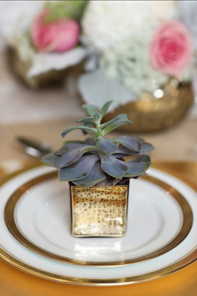 Occasions By Deborah, Toronto