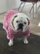 Georgina of Ontario Staging Limited photo