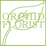 Orchid Florist