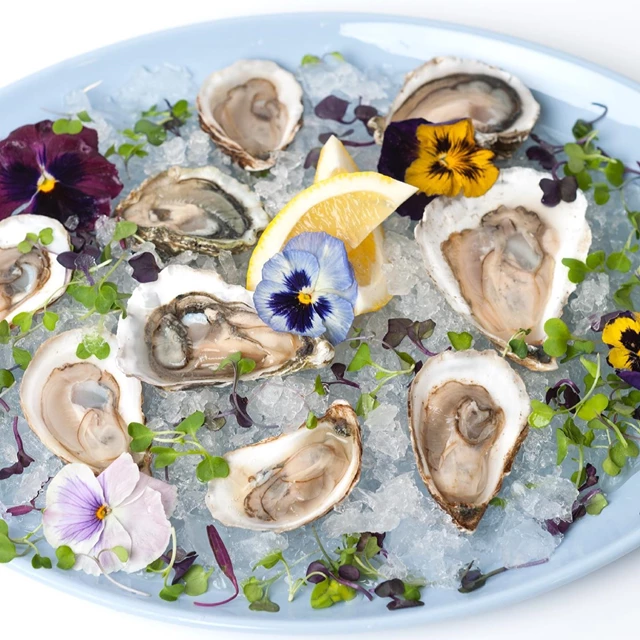OystersXO, Toronto