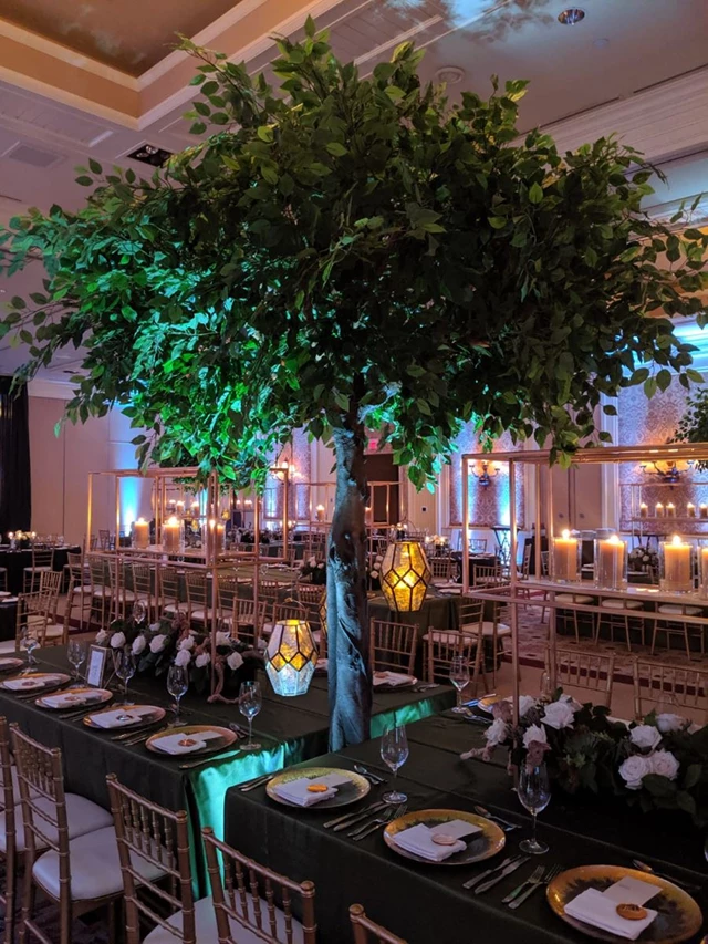 11' Benjamina Tree with our Gold Geode Lanterns