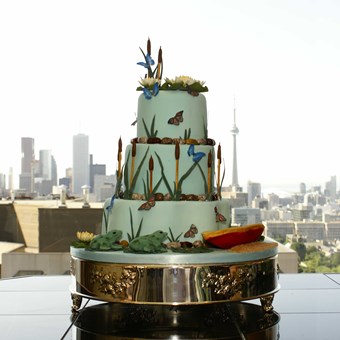 Wedding Cakes: Patricia's Cake Creations 16