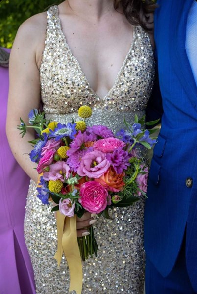 Carousel images of Periwinkle Flowers