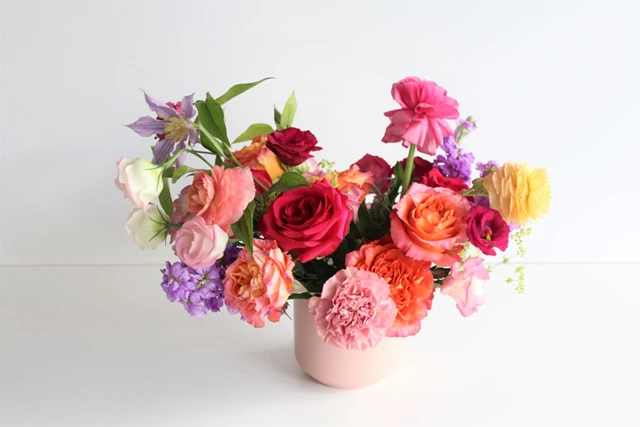 Periwinkle Flowers, Toronto