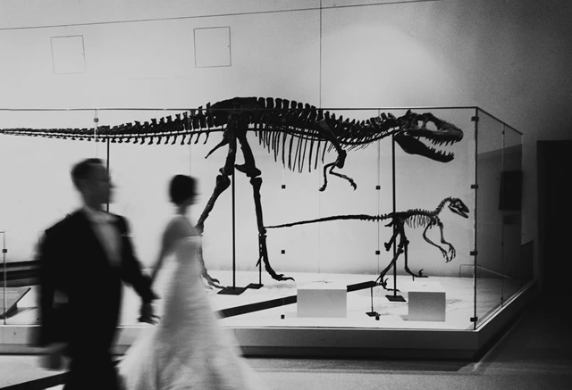 Royal Ontario Museum weddings are an extraordinary opportunity for creative and whimsical photographs. We call this image - Evolution