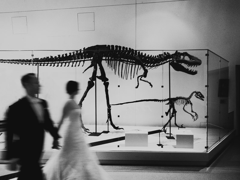 Royal Ontario Museum weddings are an extraordinary opportunity for creative and whimsical photographs. We call this image - Evolution