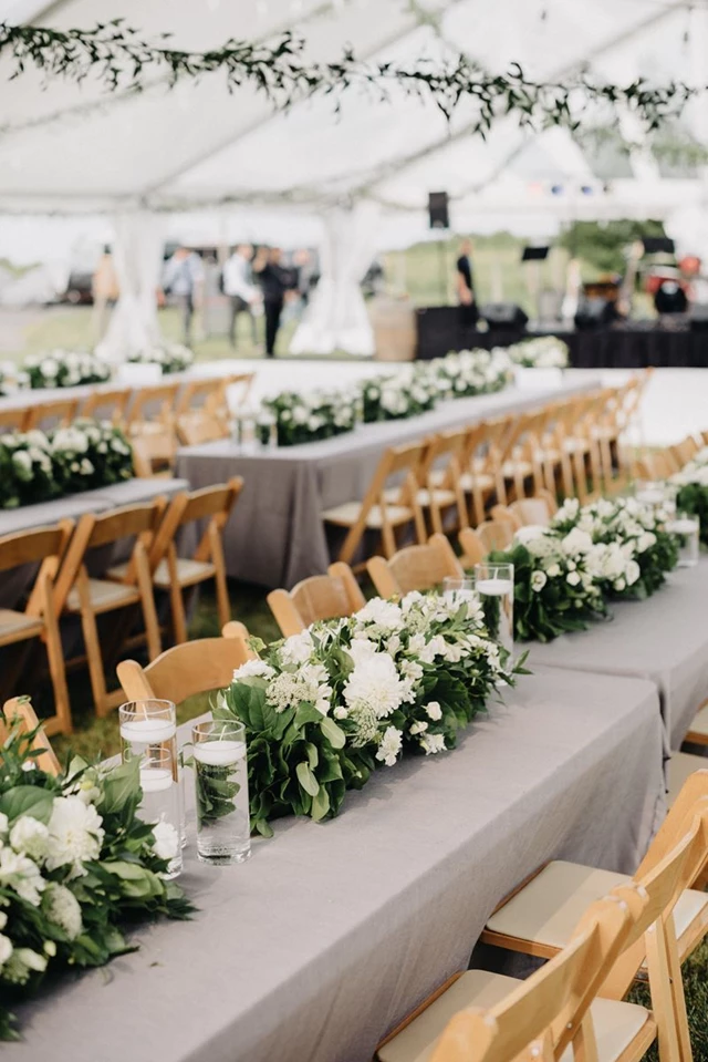 Picotee Flowers, Markham