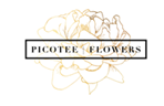 Picotee Flowers