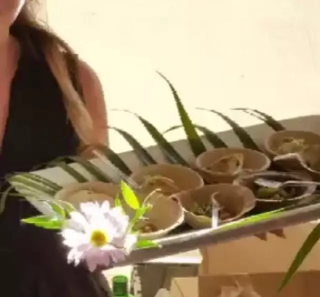 Staffing: Pink Event Staff Inc. 25