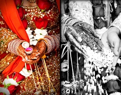 Projected Life Photography, Mississauga