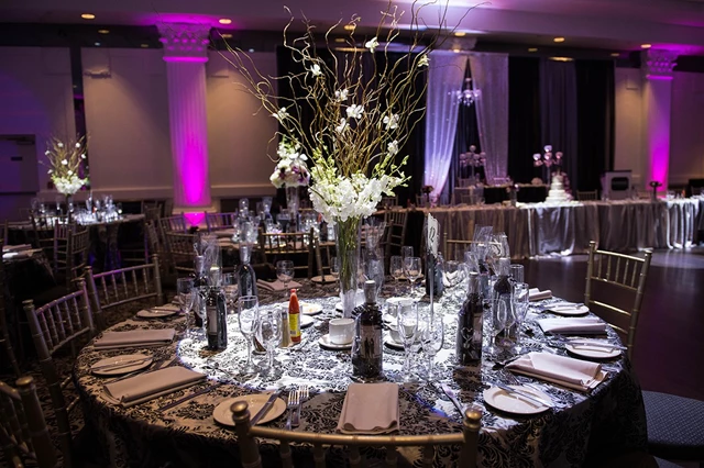 Pure Hue Dynasty, Toronto