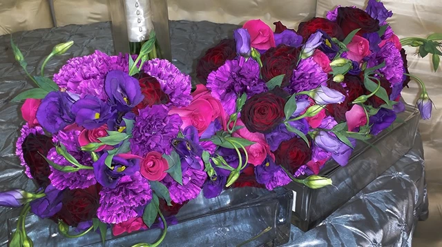 Pure Hue Dynasty, Toronto