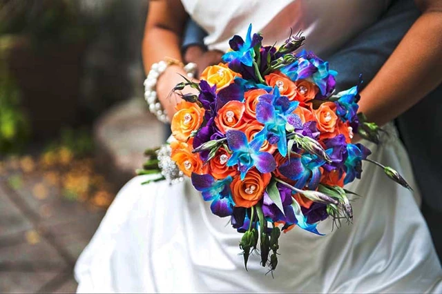 Pure Hue Dynasty, Toronto