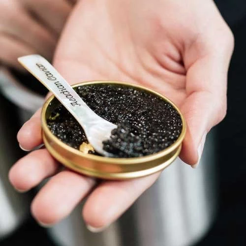 Raw Catering, Toronto