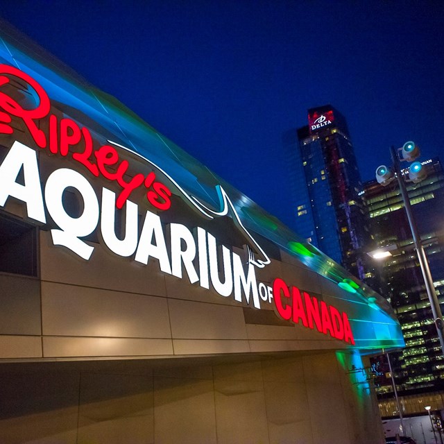 Special Event Venues: Ripley's Aquarium of Canada 1