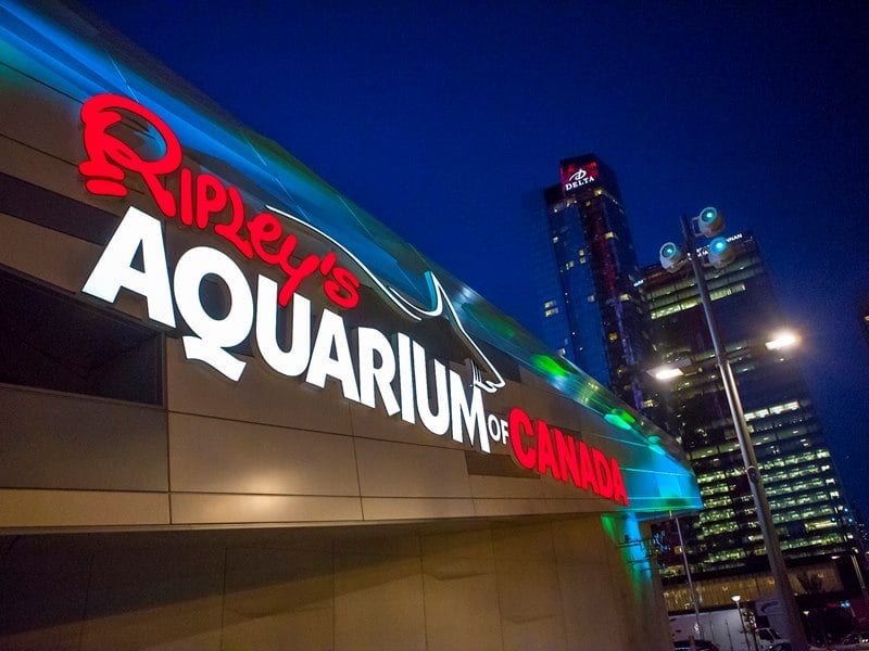 Carousel images of Ripley's Aquarium of Canada
