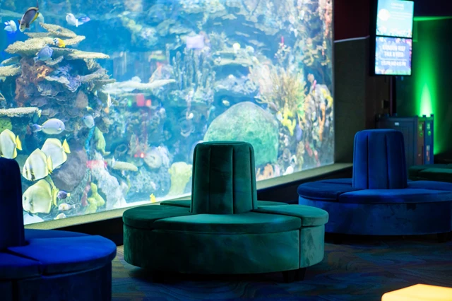 Galleries/Museums: Ripley's Aquarium of Canada 22