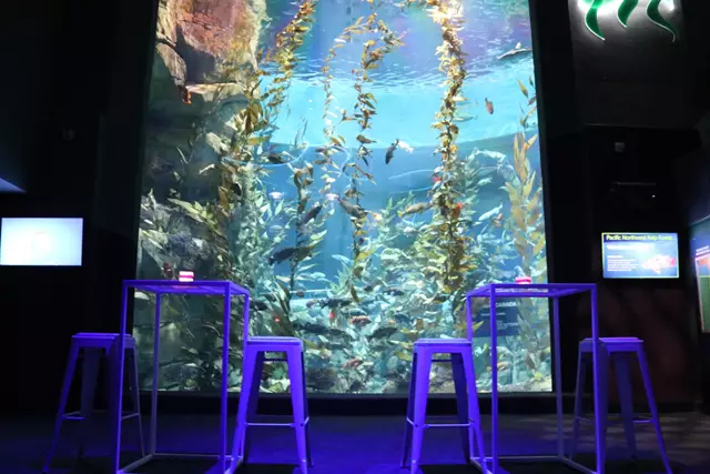 Special Event Venues: Ripley's Aquarium of Canada 21