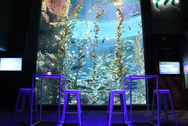 Galleries/Museums: Ripley's Aquarium of Canada 21