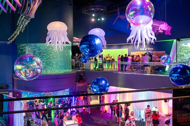 Galleries/Museums: Ripley's Aquarium of Canada 24