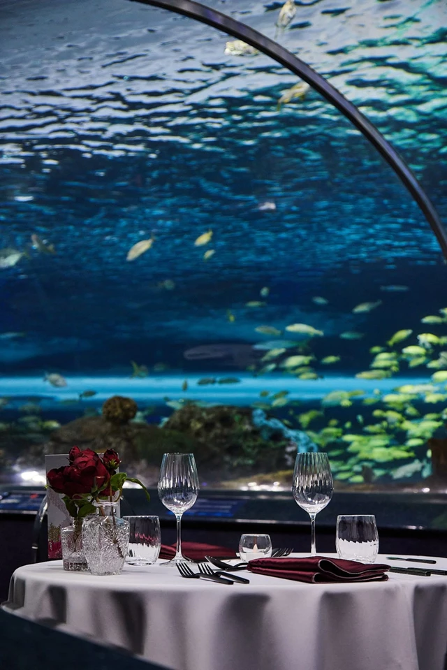 Galleries/Museums: Ripley's Aquarium of Canada 18