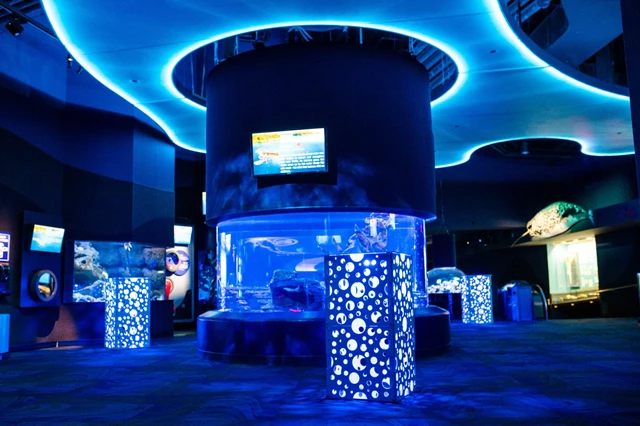Galleries/Museums: Ripley's Aquarium of Canada 2