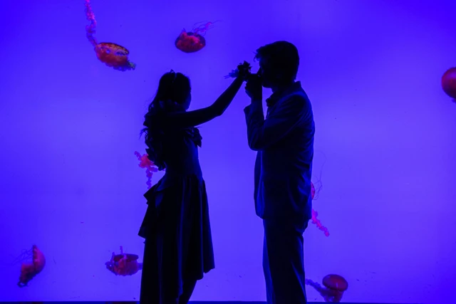 Galleries/Museums: Ripley's Aquarium of Canada 19