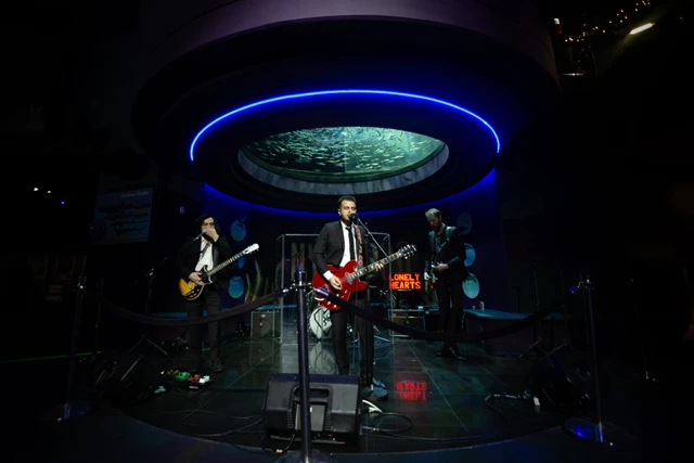 Galleries/Museums: Ripley's Aquarium of Canada 5