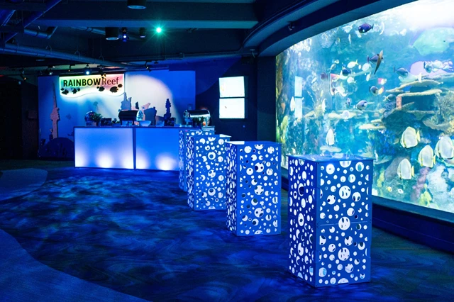 Galleries/Museums: Ripley's Aquarium of Canada 4