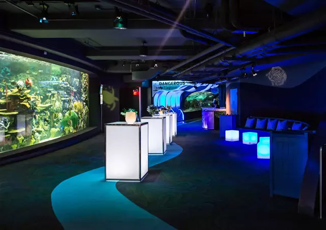 Special Event Venues: Ripley's Aquarium of Canada 8