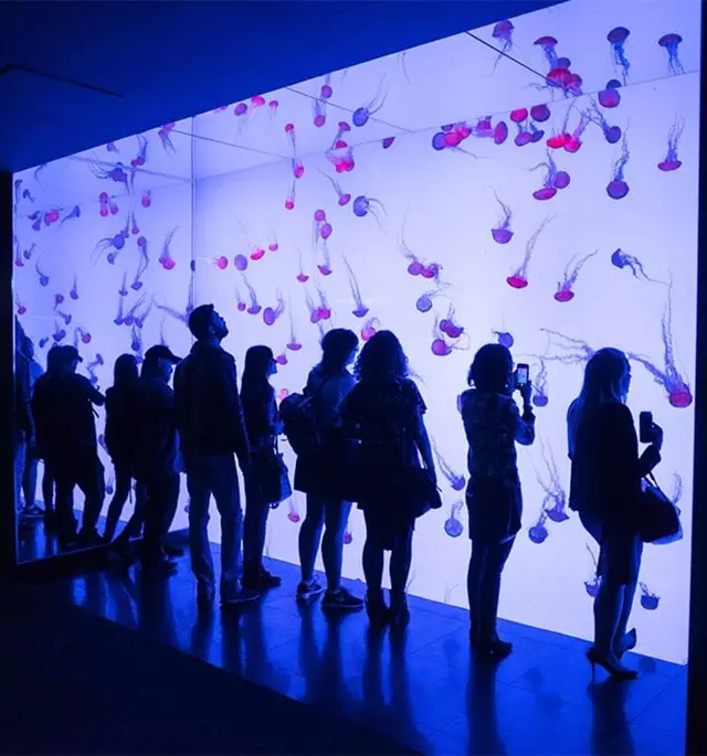 Special Event Venues: Ripley's Aquarium of Canada 6