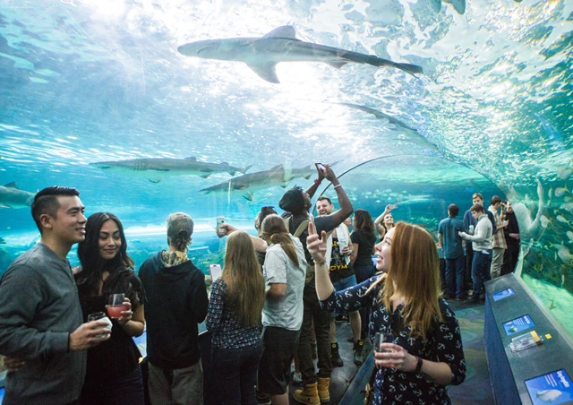 Galleries/Museums: Ripley's Aquarium of Canada 1