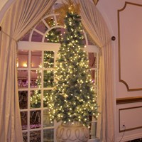 Holiday event specials!