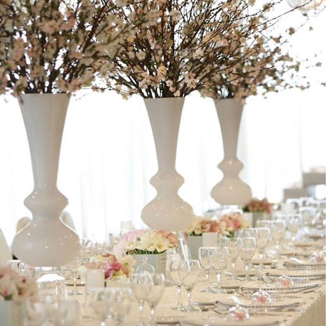 Banquet Halls: Roma's Hospitality Centre 1