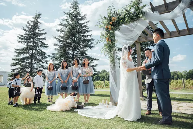 Officiants: Roy Pro Officiant 4