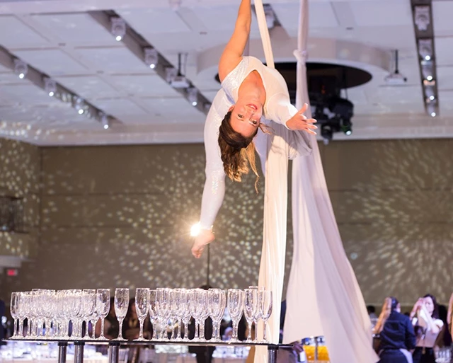 S4 Entertainment and Audio Visual, Toronto