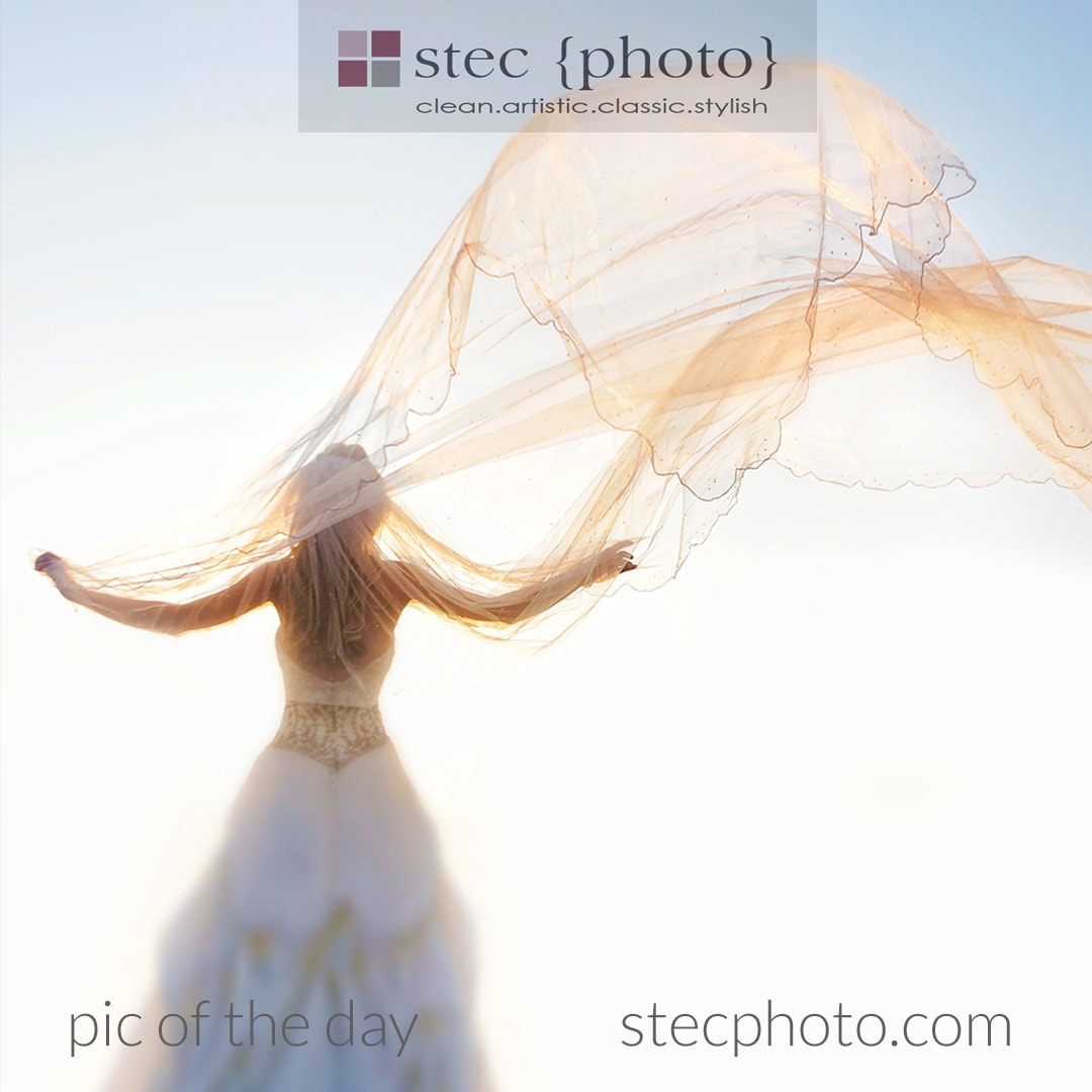 STEC Photography profile photo