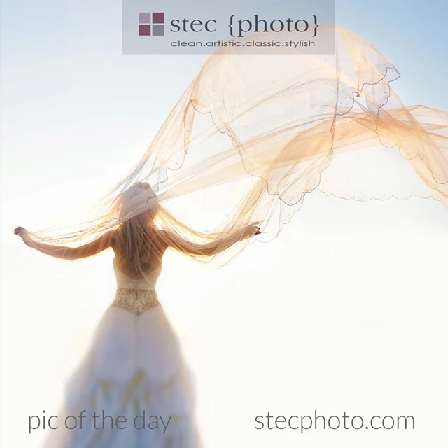 STEC Photography, Toronto