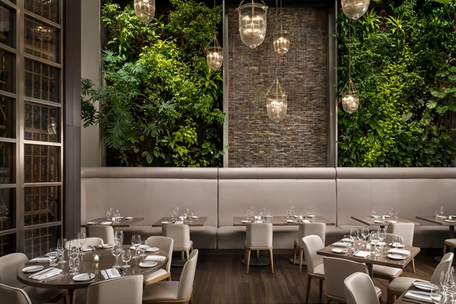 Restaurants: Sassafraz 6